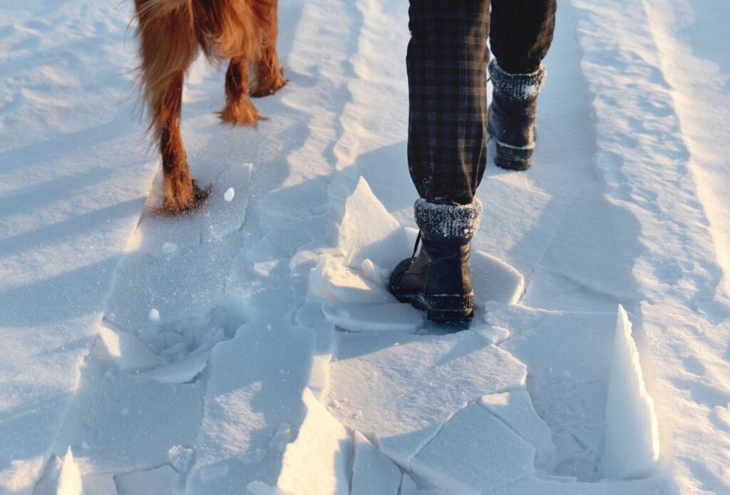 Golden Retriever and Trainer walking in snow, Duluth, MN